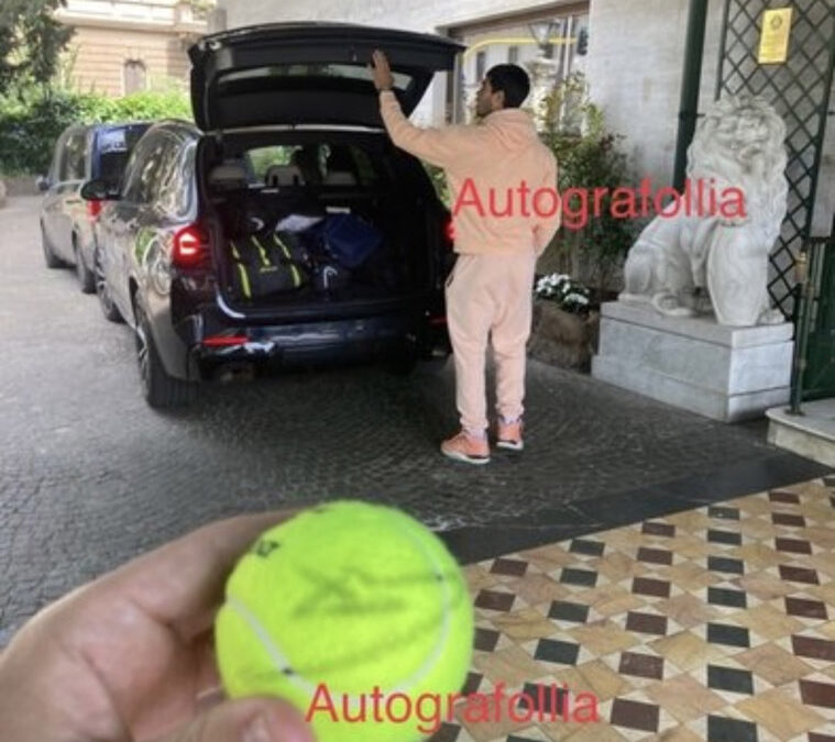 Tennisbal Carlos Alcarez